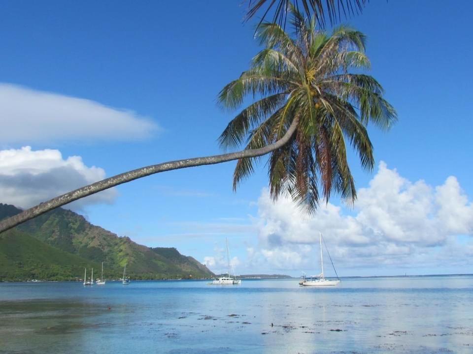 Beach De Reve De Moorea Hauru Exterior foto